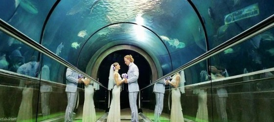 Rhiann en Cheetah trouwen in het Phuket Aquarium