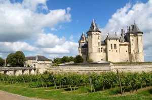 Vignes_du_château_de_Chinon_Loire
